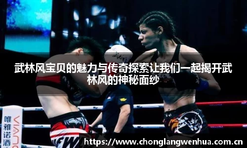武林风宝贝的魅力与传奇探索让我们一起揭开武林风的神秘面纱