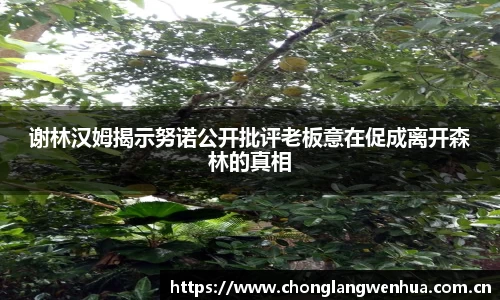 谢林汉姆揭示努诺公开批评老板意在促成离开森林的真相